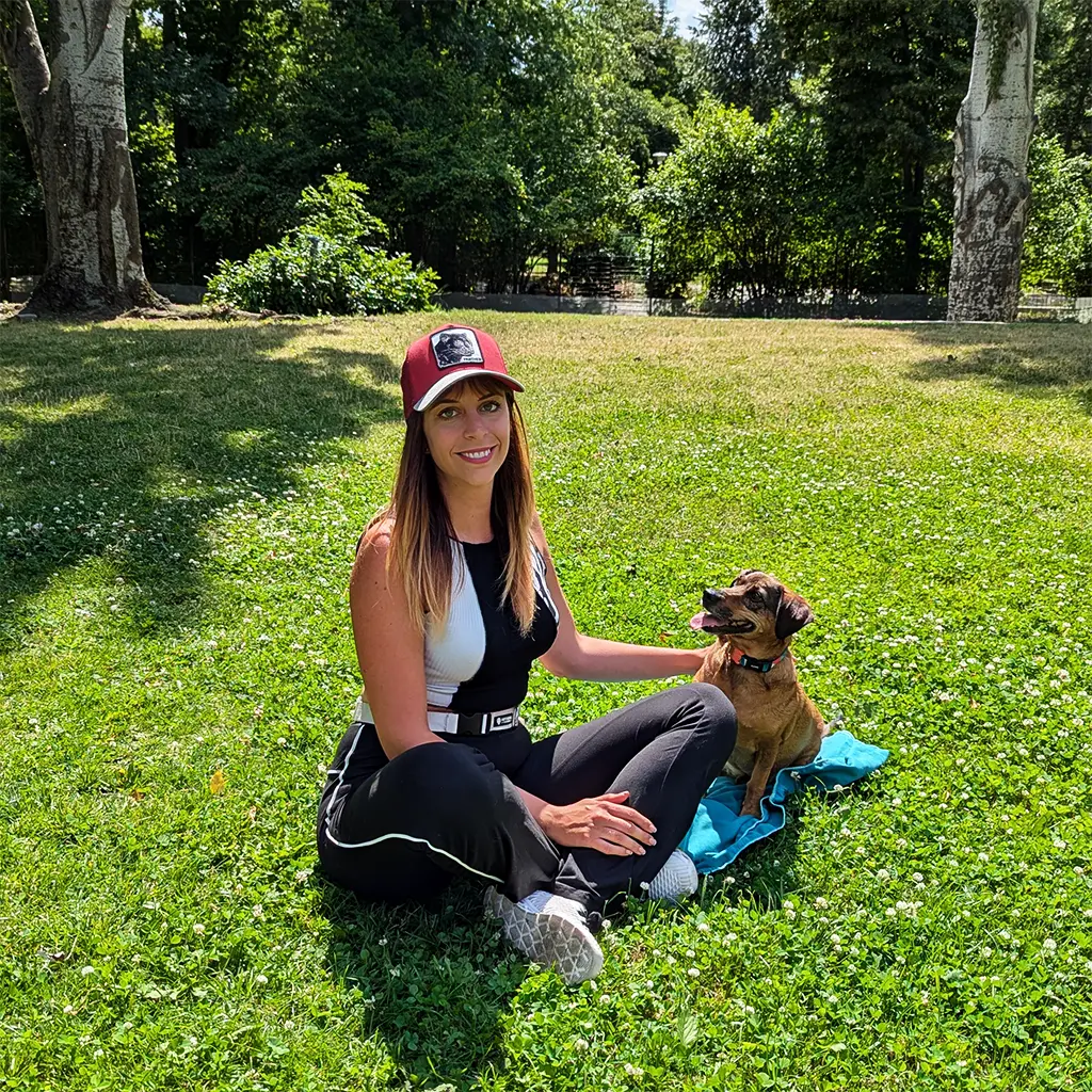 Pawsome introduction